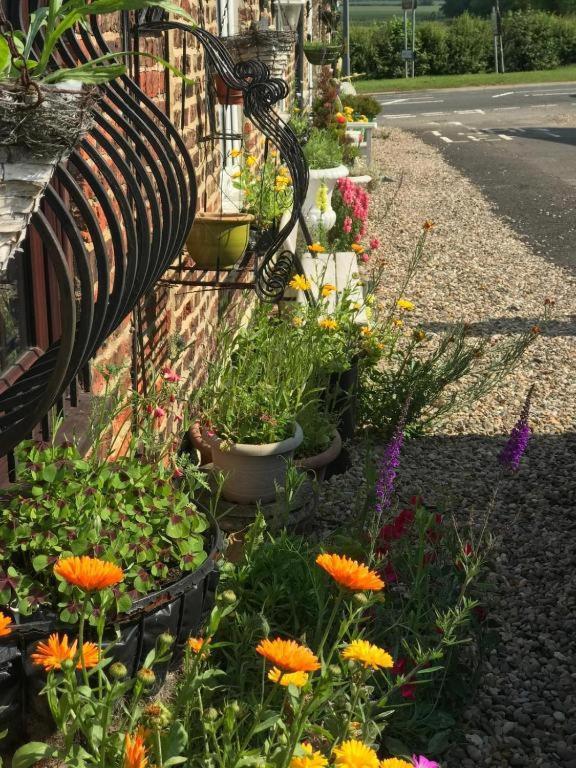 Oyo Yarm Cottages Kirklevington Bagian luar foto